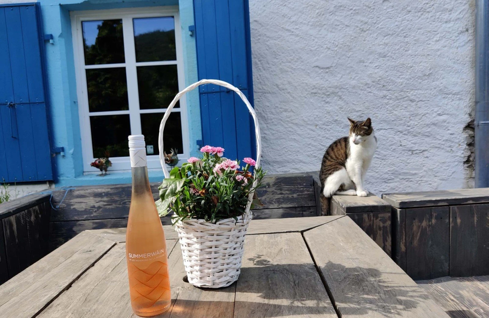 Terras 698085e46fc47